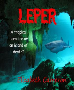 Cover of the book Leper by Jill Tunbridge