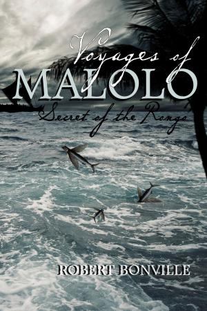 Cover of the book Voyages of Malolo: by Radhika Nathan