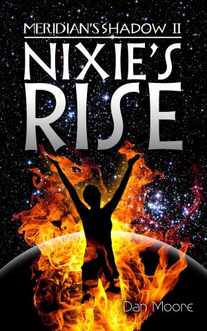 Cover of the book Nixie's Rise by Paul Stadinger