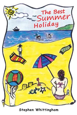 Cover of the book The Best Summer Holiday by Annette Fallon