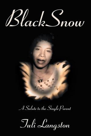 Cover of the book Black Snow by Elizabeth Sullivan