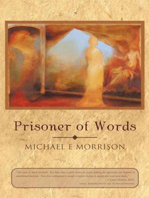 Cover of the book Prisoner of Words by Deanna Daly