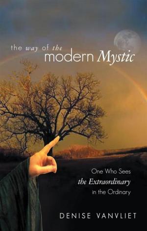 Cover of the book The Way of the Modern Mystic by Demian Lichtenstein, Shajen Joy Aziz