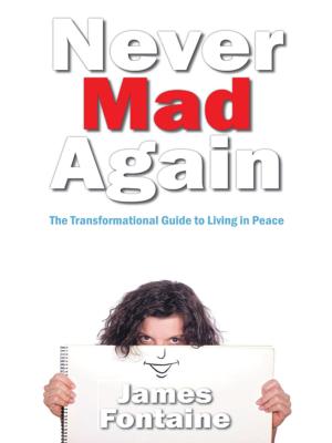 Cover of the book Never Mad Again by Bill Anderson, Annie P. Clark