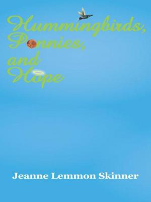 Cover of the book Hummingbirds, Pennies, and Hope by Jacqui Derbecker