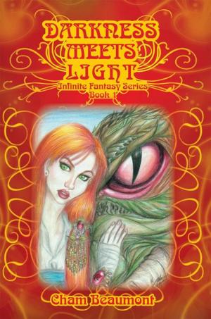 Cover of the book Darkness Meets Light by Jason M.A Walter (JMAW)