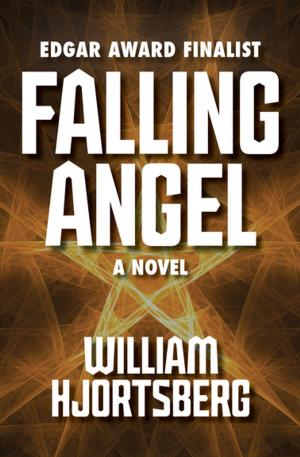 Cover of the book Falling Angel by Richard Stern