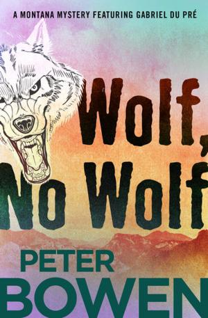 Cover of the book Wolf, No Wolf by Piers Anthony, Jo Anne Taeusch