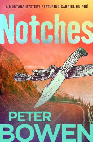 Cover of the book Notches by Joe Craig