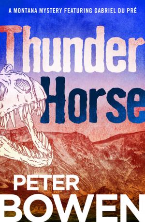 Cover of the book Thunder Horse by Lawrence Durrell
