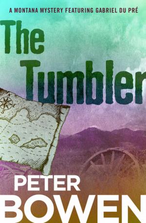 Cover of the book The Tumbler by Campbell Armstrong