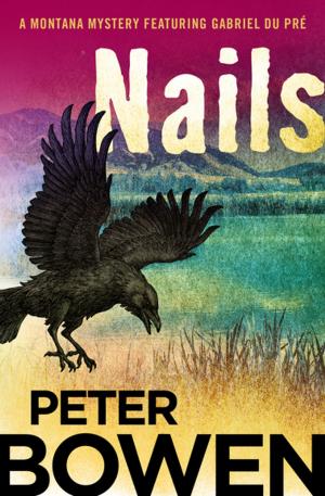 Cover of the book Nails by Brian Garfield