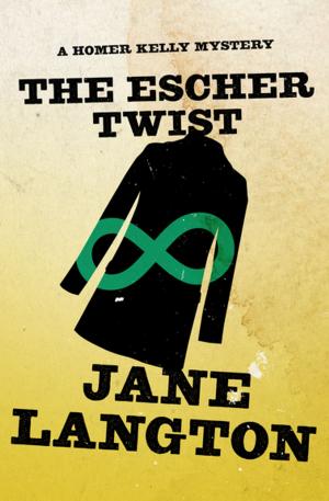 Cover of the book The Escher Twist by Jane Langton