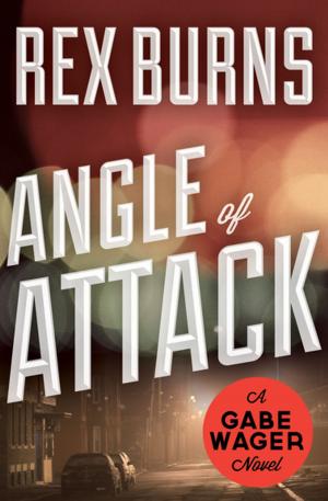 Cover of the book Angle of Attack by Barbara Hambly