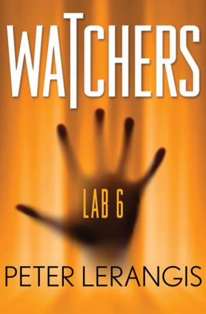 Book cover of Lab 6