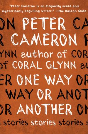 Cover of the book One Way or Another by Michael Craft