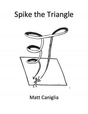 Cover of the book Spike the Triangle by Dong Zhiyong