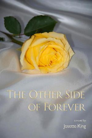 Cover of the book The Other Side of Forever by Raj Nair