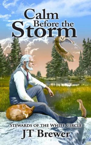 Cover of the book Stewards of the White Circle: Calm Before the Storm by Jennifer Dawson