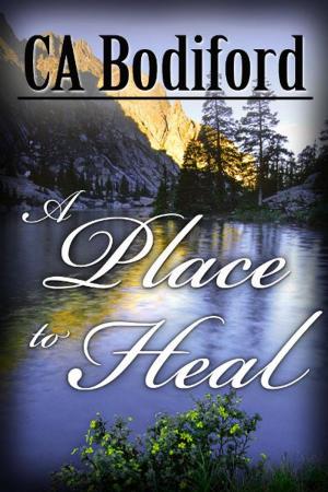 Cover of the book A Place to Heal by Irfan Alli