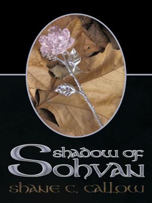 Cover of the book Shadow of Sohvan by Douglas 'Chuck' Booth, Craig B. Landgren, Kenneth A. Lee