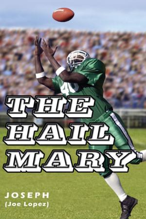 Cover of the book The Hail Mary by Glenn Gamble