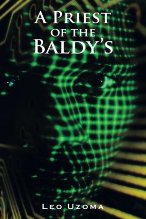 Cover of the book A Priest of the Baldy's by Helda Ordia