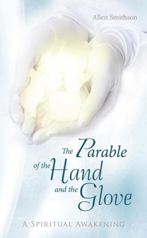 Cover of the book The Parable of the Hand and the Glove by Anneros Valensi