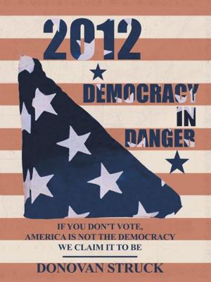 Cover of the book 2012-Democracy in Danger by Rebecca Eckfeldt Gibby