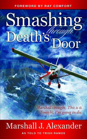 Cover of the book Smashing Through Death's Door by Jules Verne
