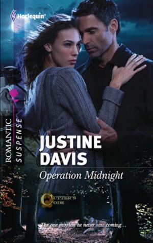 Cover of the book Operation Midnight by Kimberly Kaye Terry
