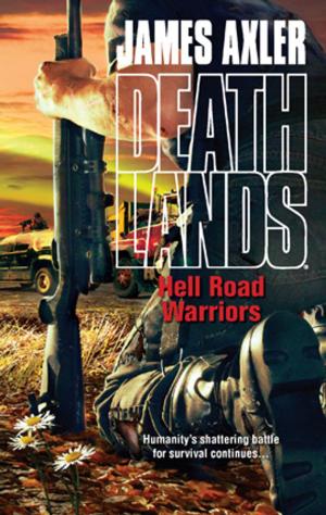 Cover of the book Hell Road Warriors by Mike Goldsmith
