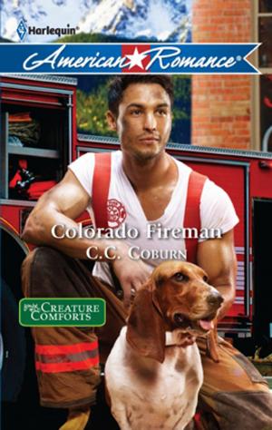 Cover of the book Colorado Fireman by Kyra Davis
