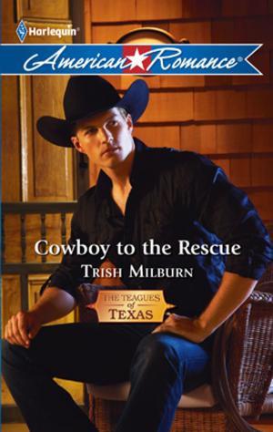 Cover of the book Cowboy to the Rescue by Saranna DeWylde