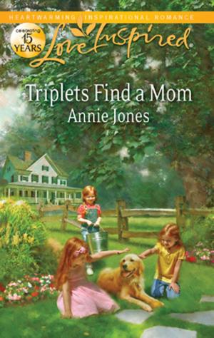 Cover of the book Triplets Find a Mom by Jolene Navarro
