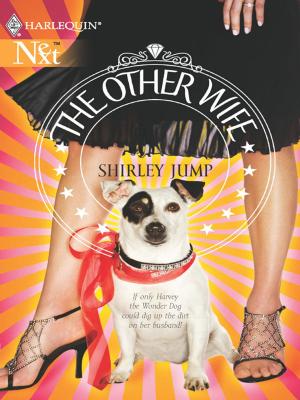 Cover of the book The Other Wife by Lucy King