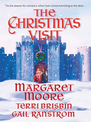 Book cover of The Christmas Visit