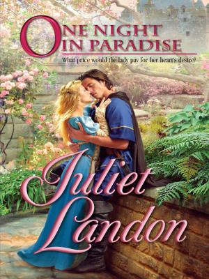 Cover of the book ONE NIGHT IN PARADISE by Terri Brisbin