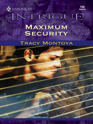Cover of the book MAXIMUM SECURITY by Carolyn Andrews