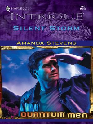 Cover of the book Silent Storm by Blythe Gifford