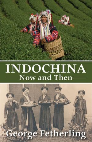 Cover of the book Indochina Now and Then by Mike Filey