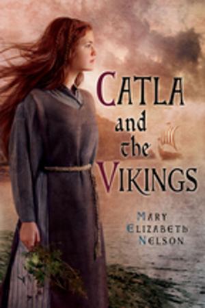 Cover of the book Catla and the Vikings by Sean Rodman