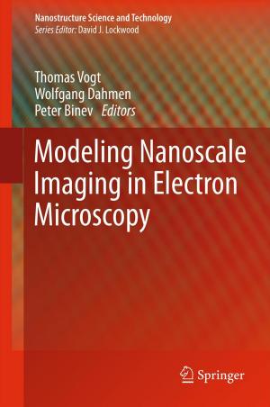 Cover of the book Modeling Nanoscale Imaging in Electron Microscopy by P. Besbeas, K. B. Newman, S. T. Buckland, B. J. T. Morgan, R. King, D. L. Borchers, D. J. Cole, O. Gimenez, L. Thomas