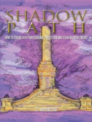 Cover of the book Shadow Path by James E. Best