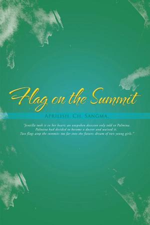 Cover of the book Flag on the Summit by James McBride