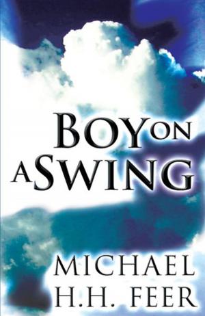 Book cover of Boy on a Swing