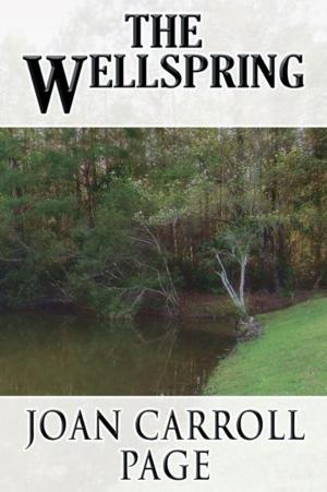 Cover of the book The Wellspring by J.K. Gravett