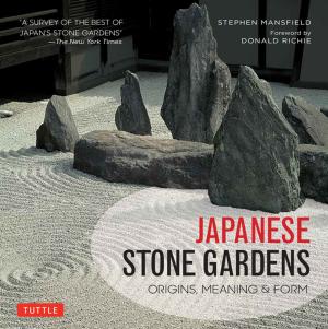 bigCover of the book Japanese Stone Gardens by 
