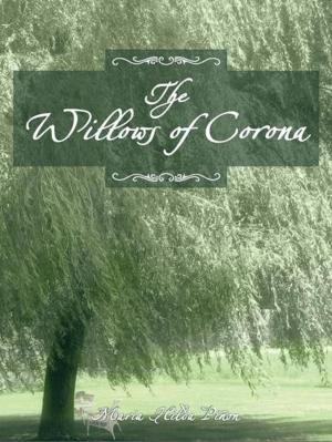 Cover of the book The Willows of Corona by David J. Holcombe