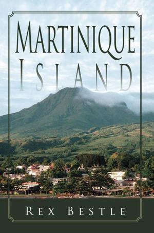 Book cover of Martinique Island